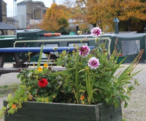 flower-beds-brighouse-basin