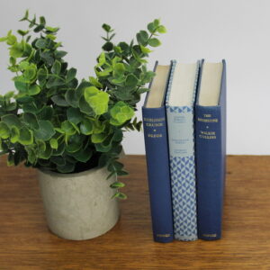 Blue Vintage Decorative Books